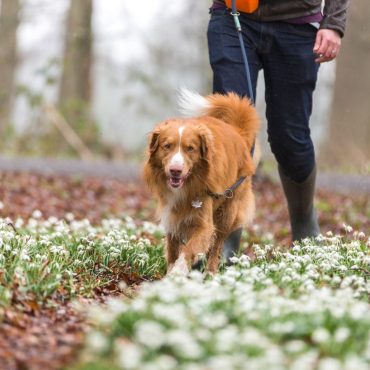 Dieters Who Want To Keep Weight Off Should Walk 8500 Steps Per Day