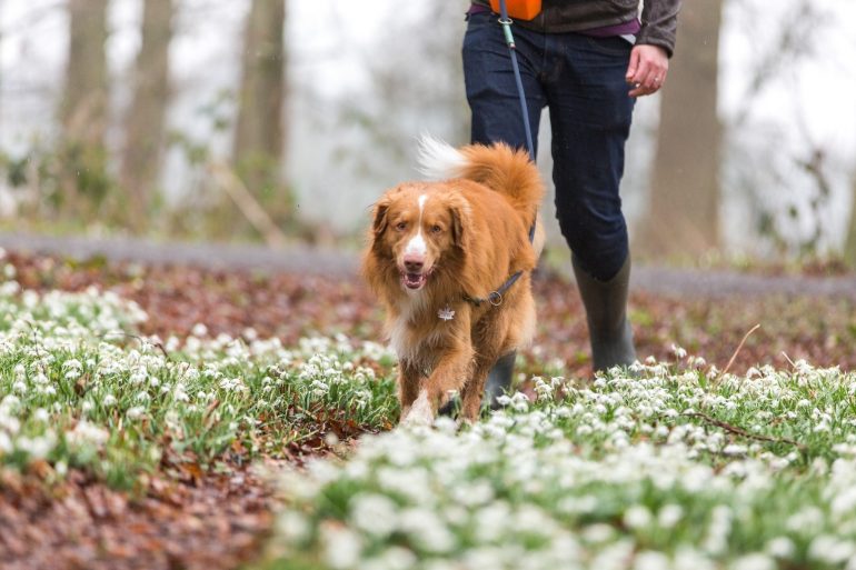 Dieters Who Want To Keep Weight Off Should Walk 8500 Steps Per Day