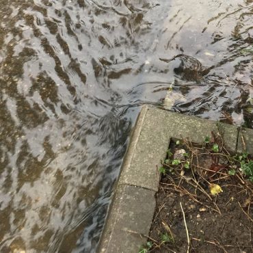 Southern Water Admits Sewage Pollution Which Occurred Weeks After Record Fine