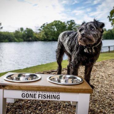 Bob Mortimer Very Very Sad After Death Of Gone Fishing Dog Ted