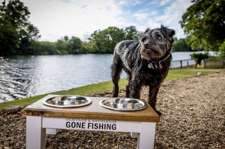Bob Mortimer Very Very Sad After Death Of Gone Fishing Dog Ted