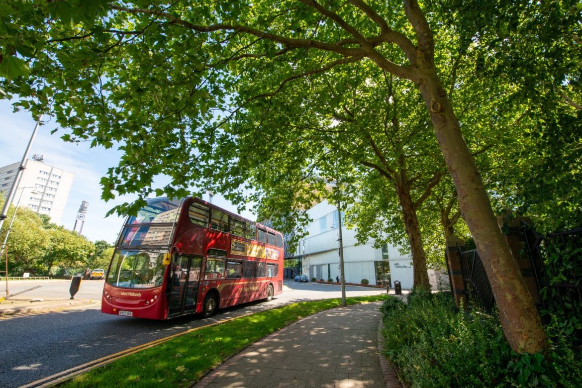 Tree Deserts Exposing Millions To Heat Pollution And Ill Health  Charity