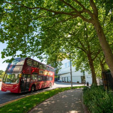 Tree Deserts Exposing Millions To Heat Pollution And Ill Health  Charity