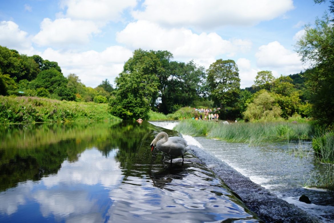 Huge Problem Of 70000 Barriers In UK Rivers Mapped Out