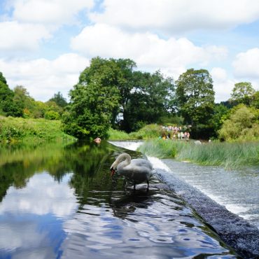 Huge Problem Of 70000 Barriers In UK Rivers Mapped Out