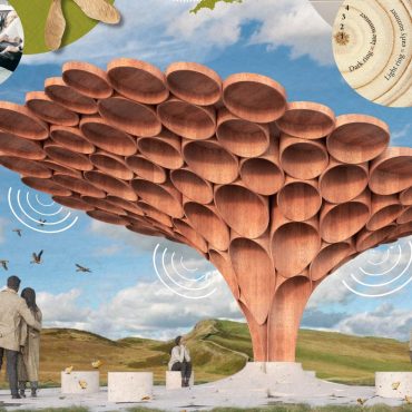 Artist To Create Work From Sycamore Gap Tree Wood After Contest Winner Announced