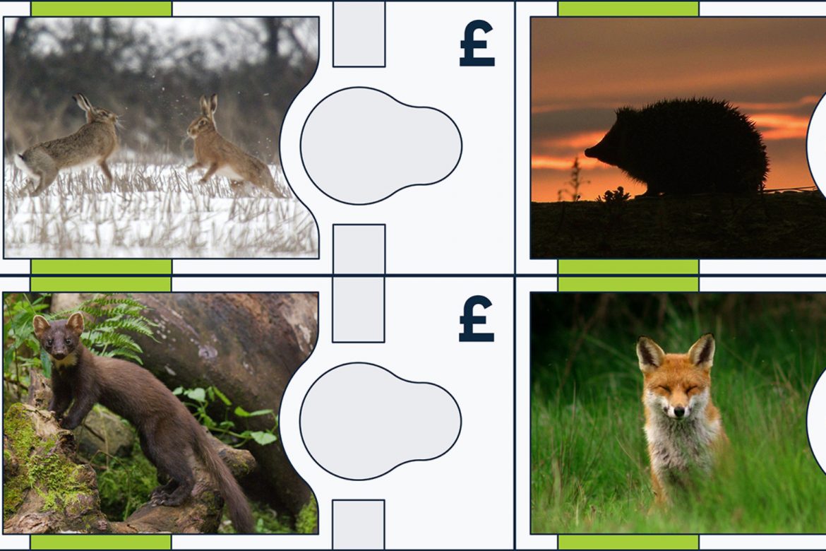 Bank Of England Reveals Which Animals Could Feature On New Look Banknotes