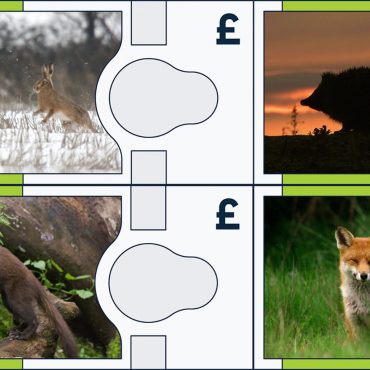 Bank Of England Reveals Which Animals Could Feature On New Look Banknotes