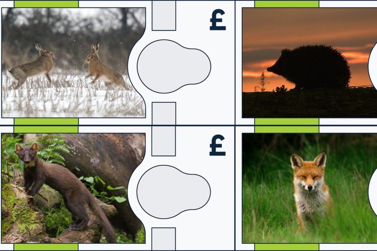 Bank Of England Reveals Which Animals Could Feature On New Look Banknotes