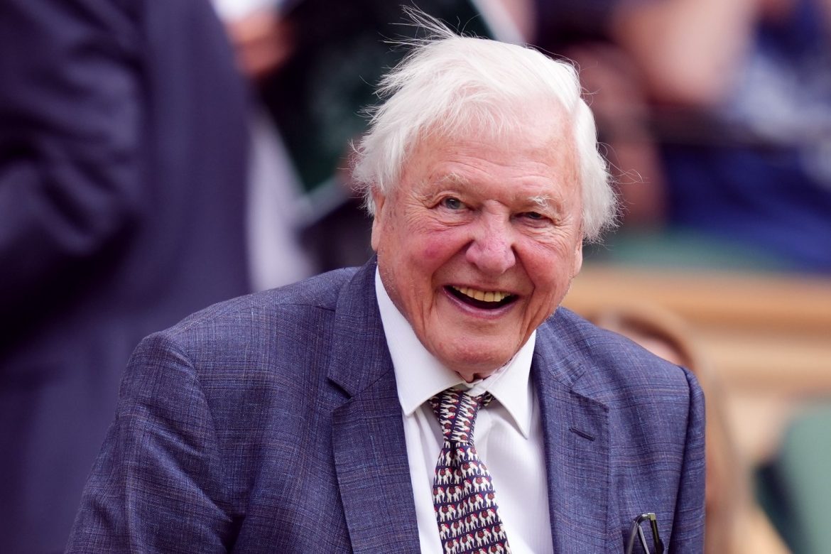 MPs Debate Monument To Honour David Attenborough After Petition Reaches 89000