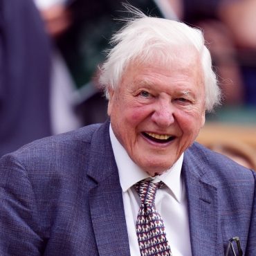 MPs Debate Monument To Honour David Attenborough After Petition Reaches 89000