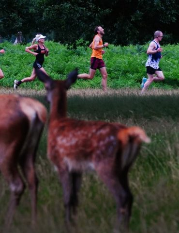 A Million Events Was Never In The Plan Says Parkrun Founder As Milestone Nears