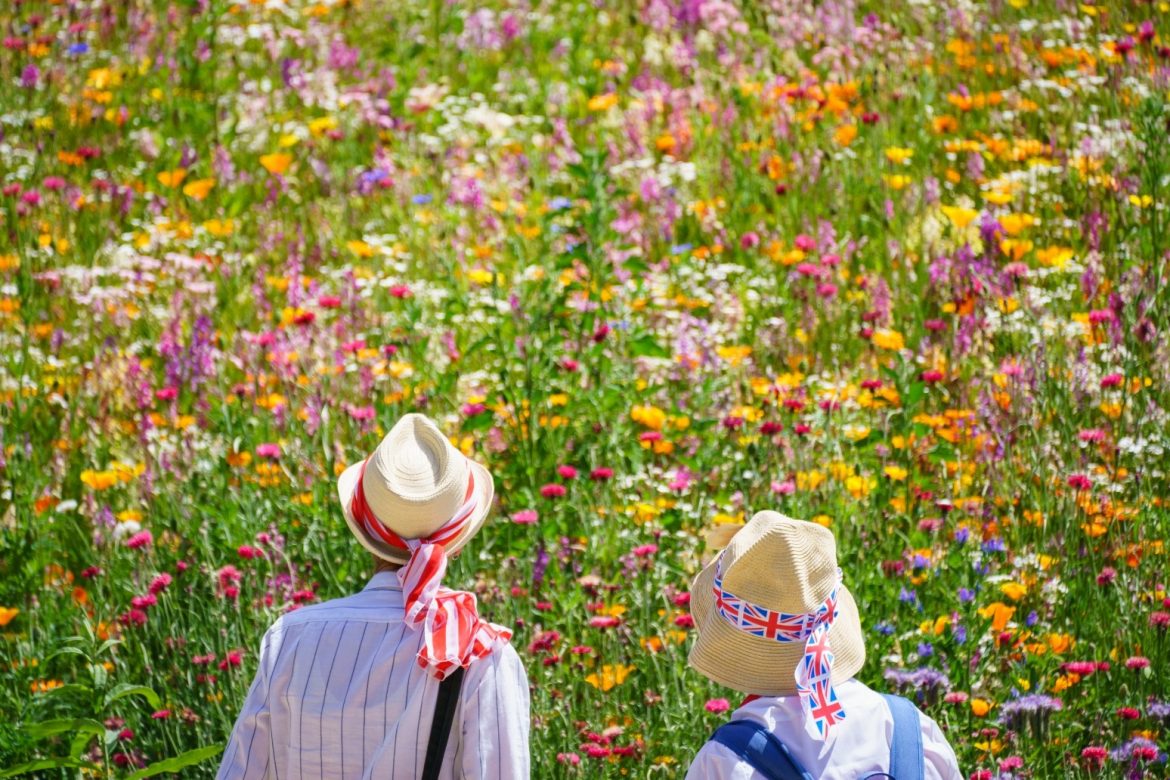 June Rain And Coming Sunshine Set To Boost Flowering Garden Plants And Veg  RHS