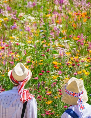 June Rain And Coming Sunshine Set To Boost Flowering Garden Plants And Veg  RHS