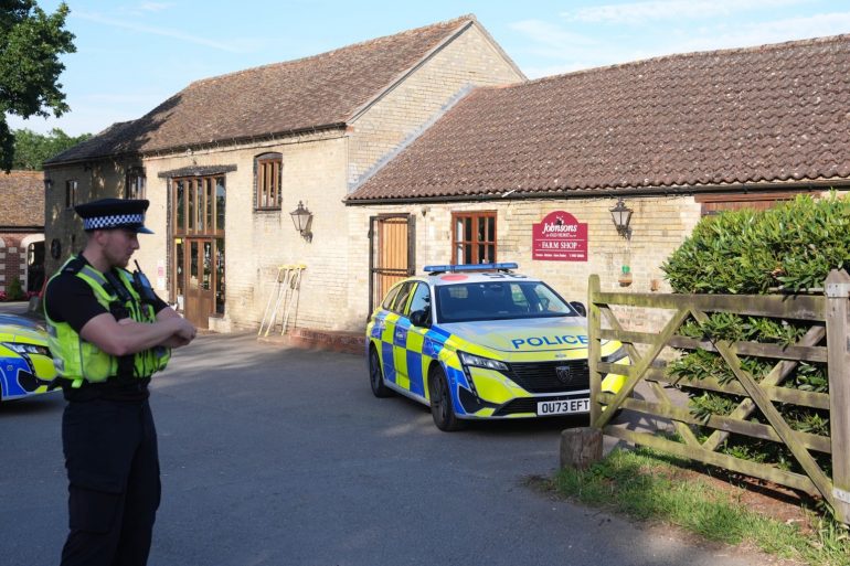 Arrested Man Released After Boy Three Injured In Crocodile Enclosure At Zoo